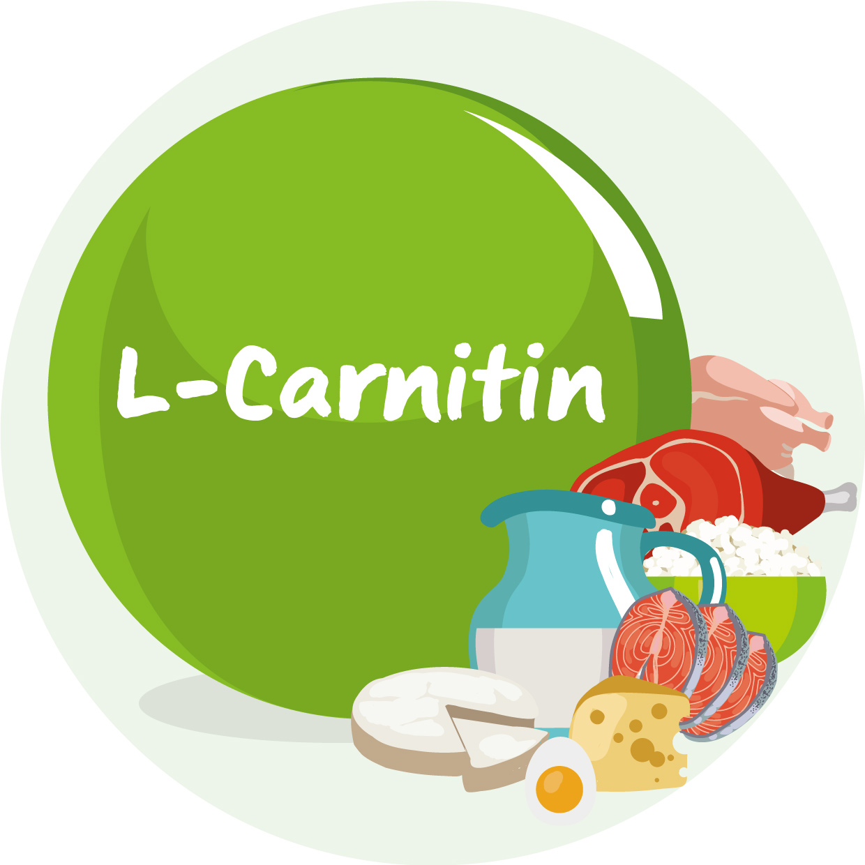 So unterstützt L-Carnitin die Fettverbrennung x-rund So unterstützt L-Carnitin die Fettverbrennung x-rund