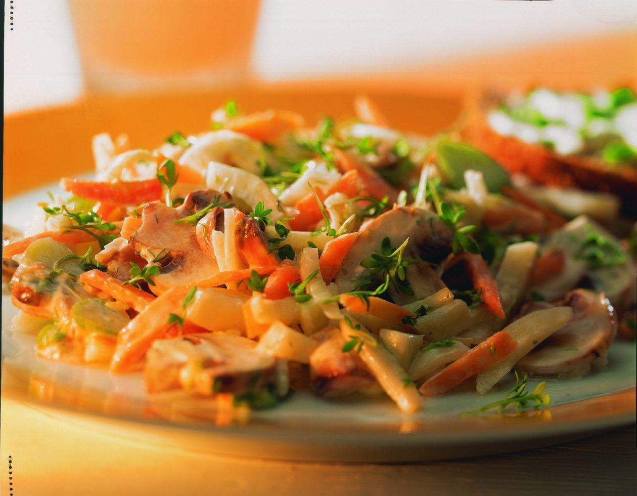 bunter-fenchelsalat Bunter Fenchelsalat - BCM Diät Rezepte.de
