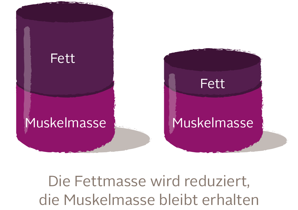 Muskelmasse - Muskelmasse -