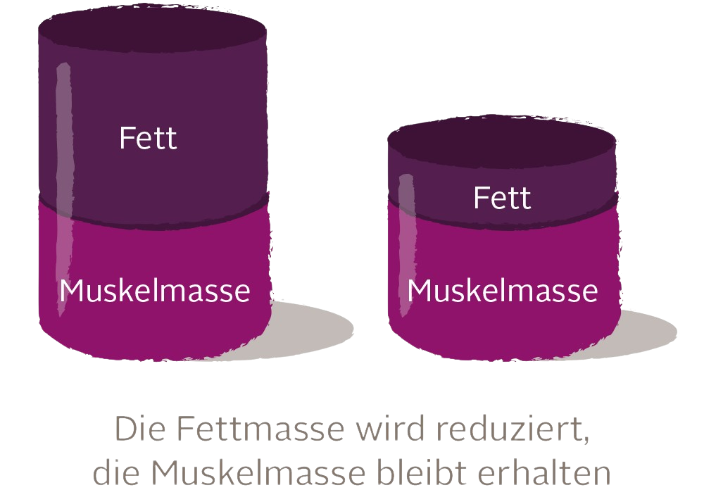 Muskelmasse freigestellt