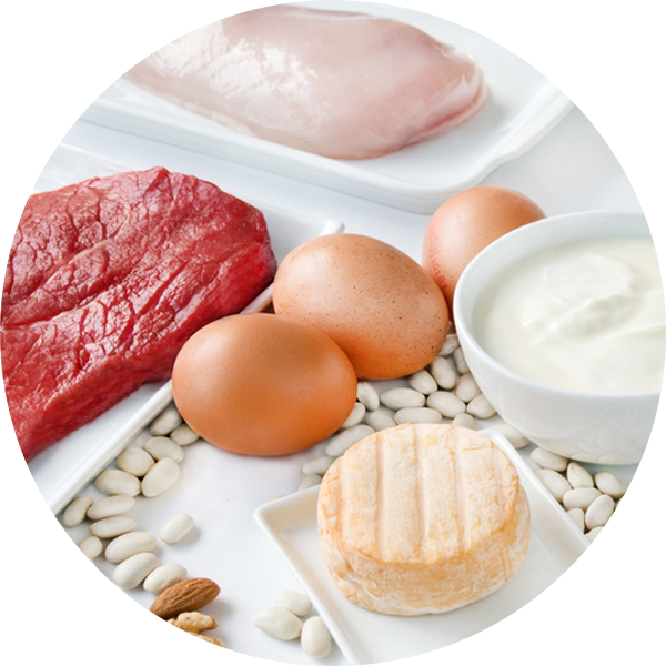 Wissenswertes-zur-Mischkost-Mahlzeit EW-