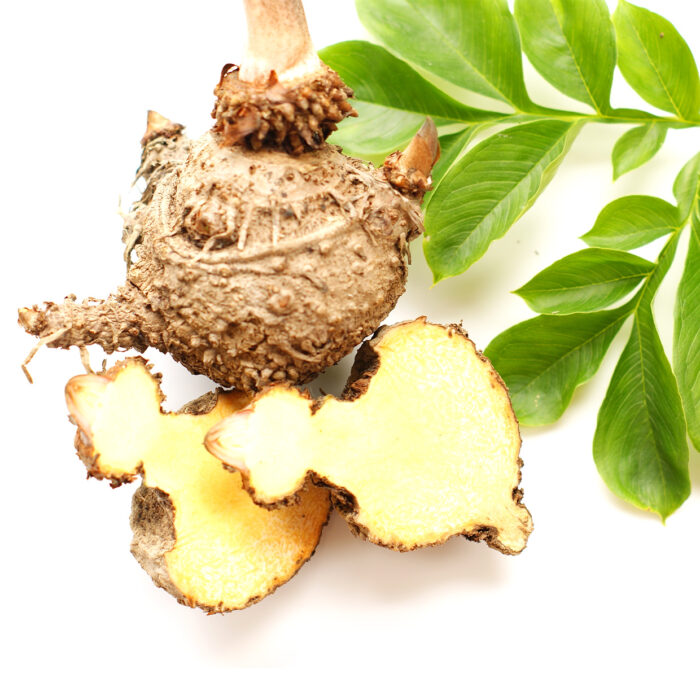 Glucomannan Headerbild mobile