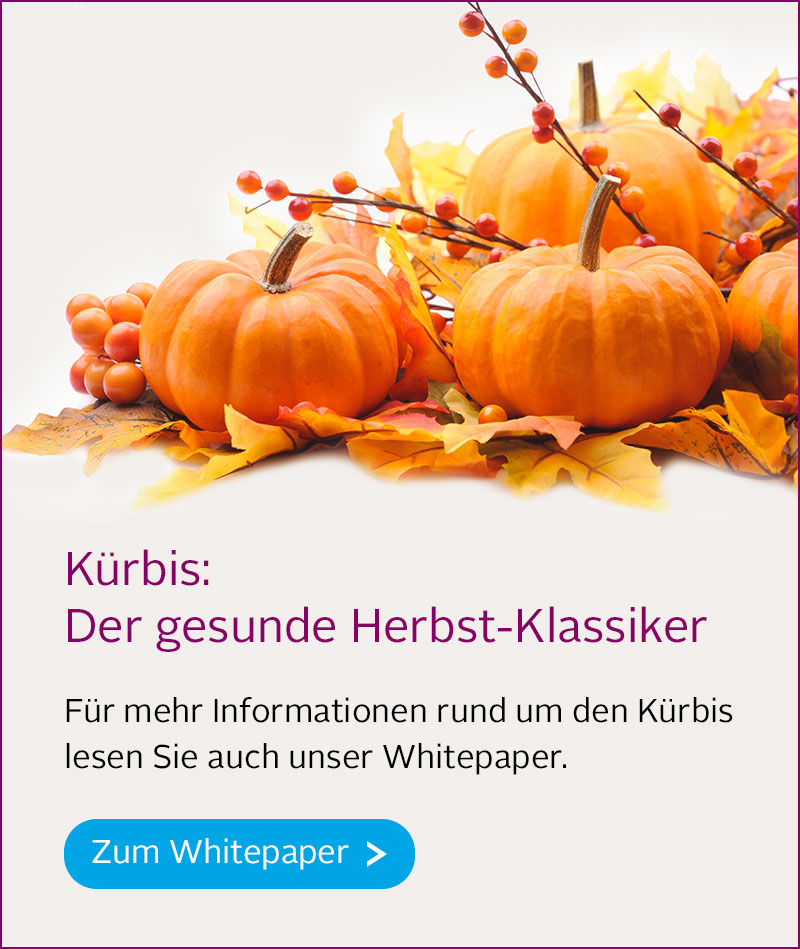 Banner kuerbis mobile-