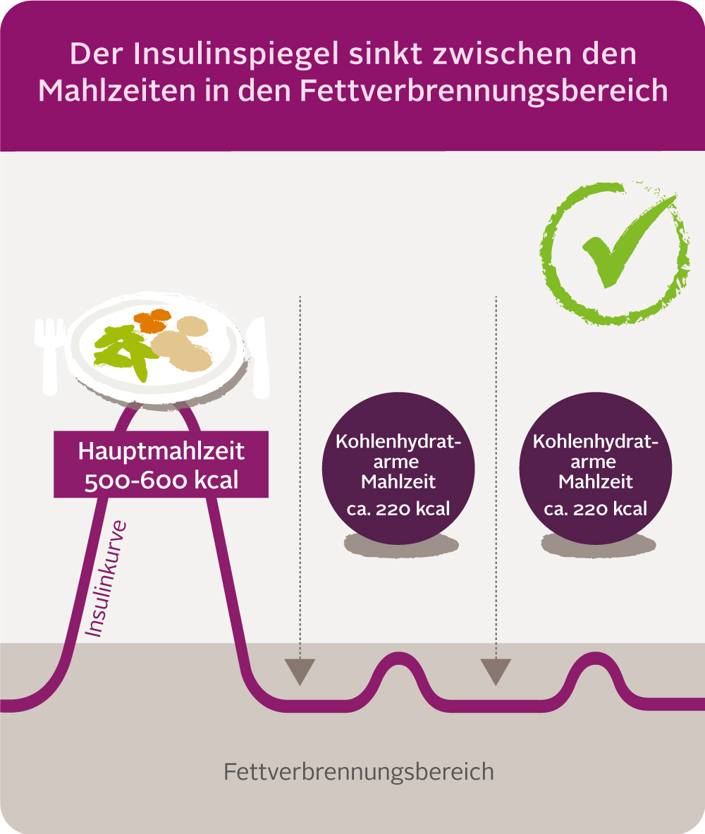 Insulinkurve gruen mobile Runde-Ecken x --