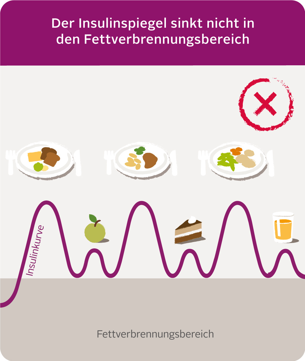 Insulinkurve rot mobile Runde-Ecken x