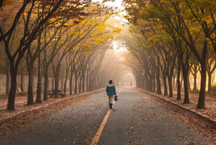 road- road-