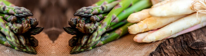 spargel headerbild